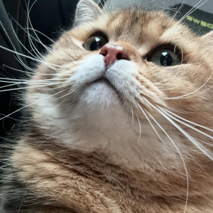 AAAAA建材批发胖总