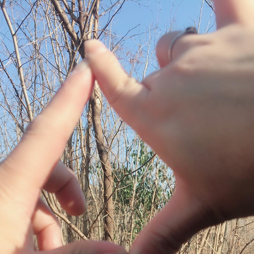 不离不弃