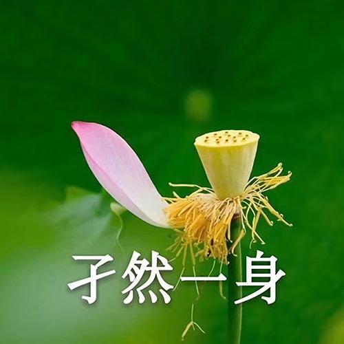 熊某