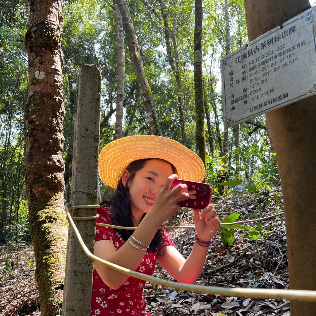 小左的茶