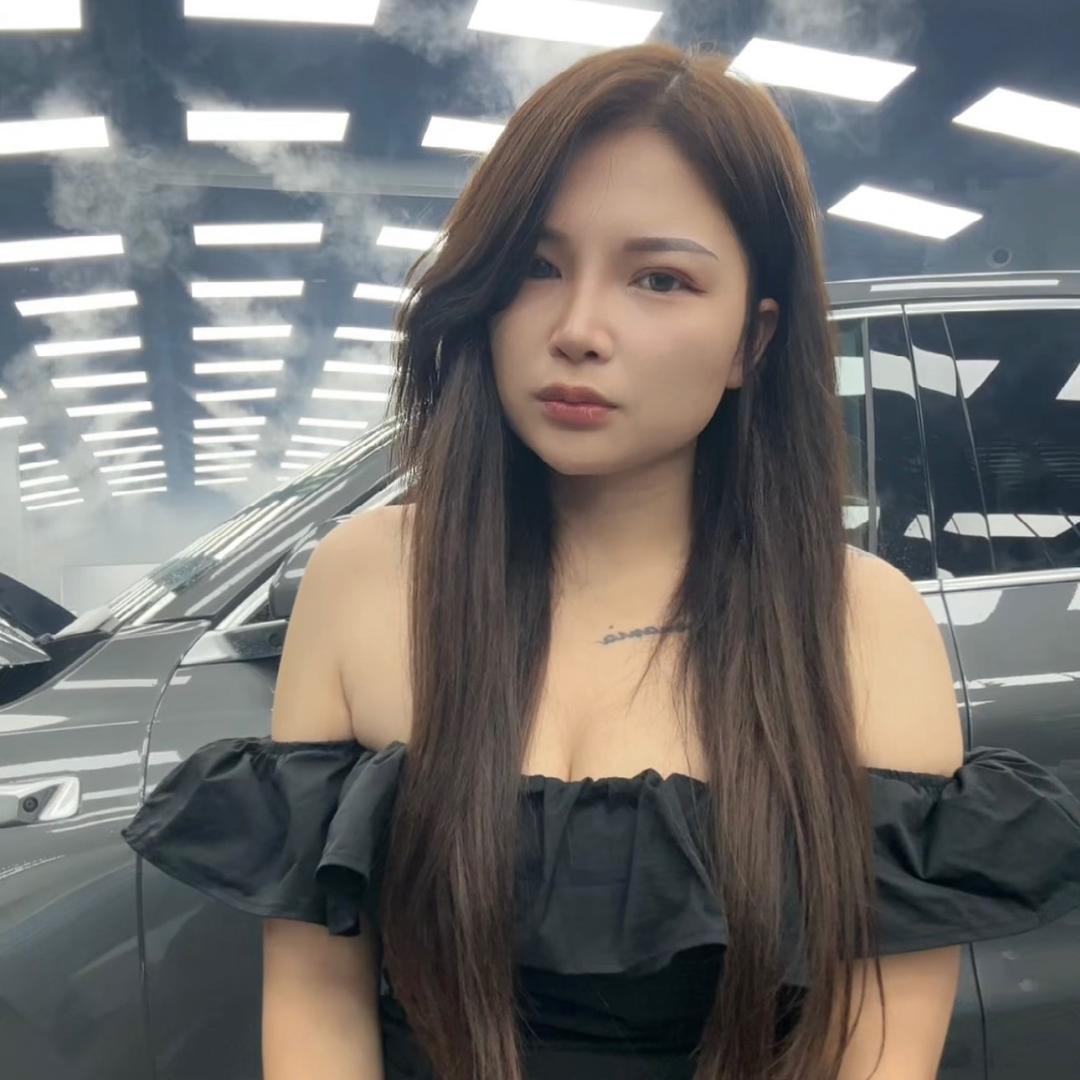 汽车贴膜Lisha