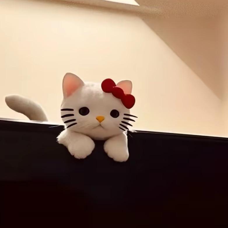 喵🐾