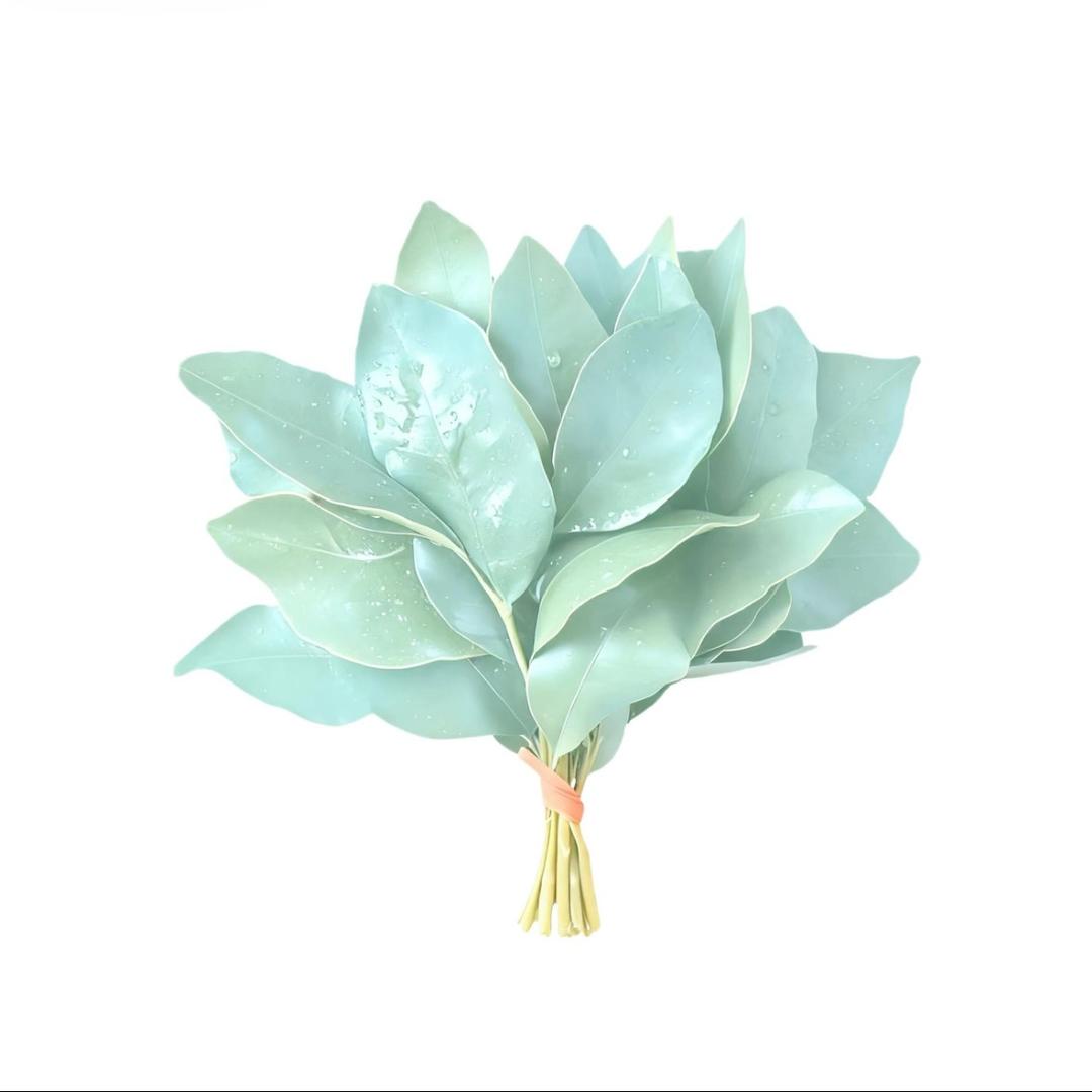 是七斤