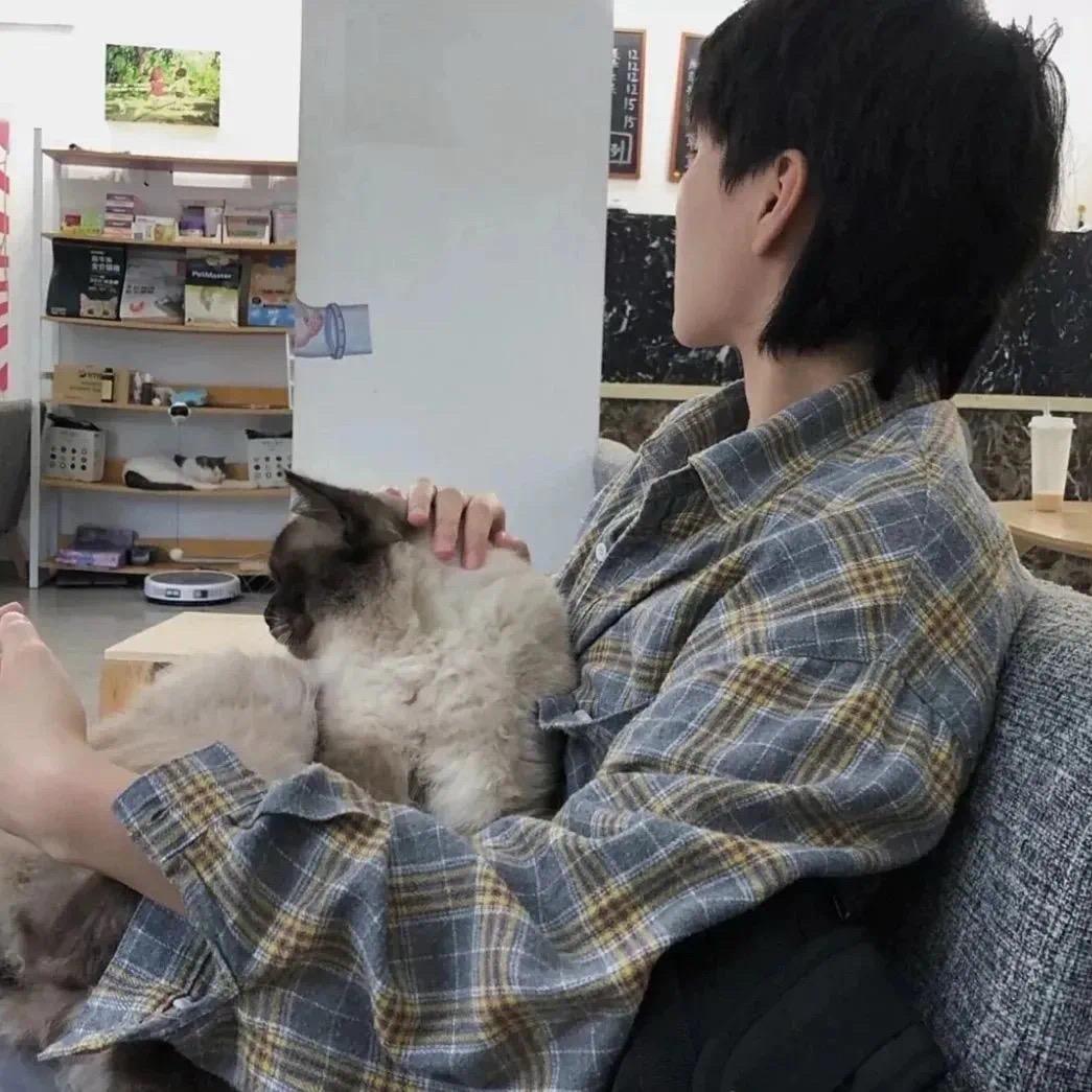 巷子的猫