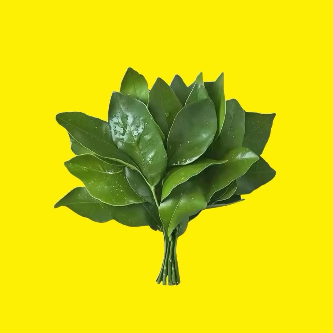 钱多多·