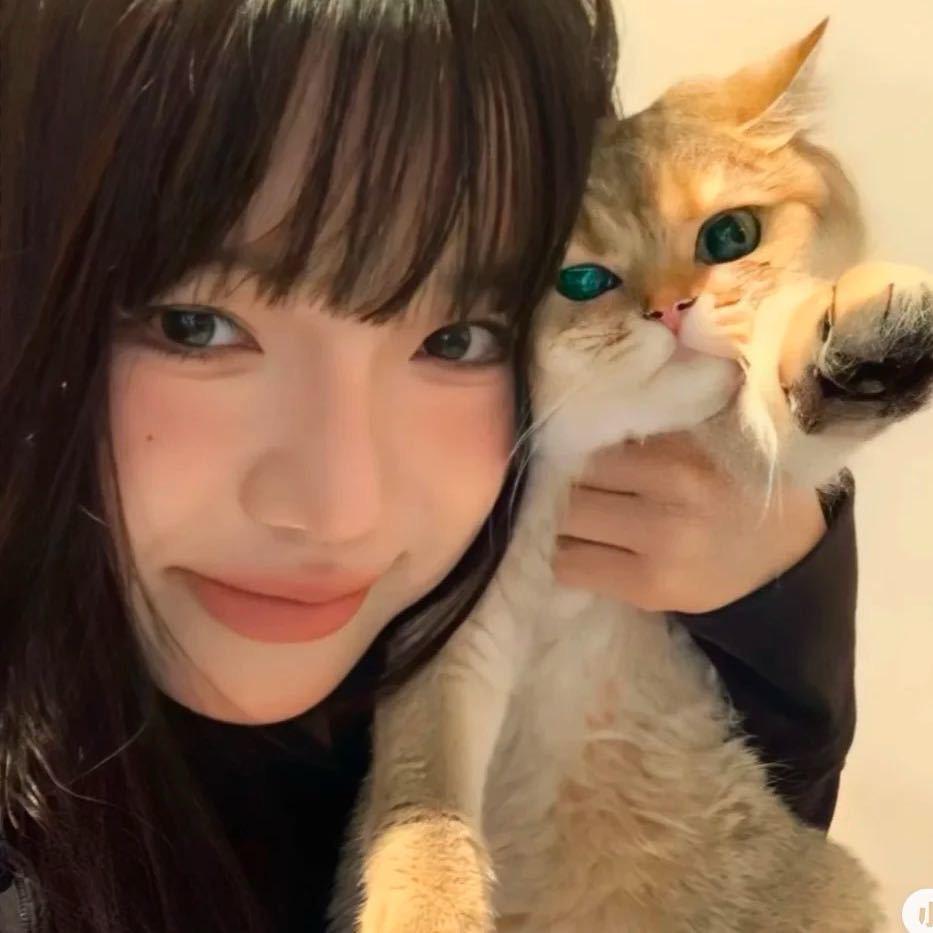 你又脸红了.