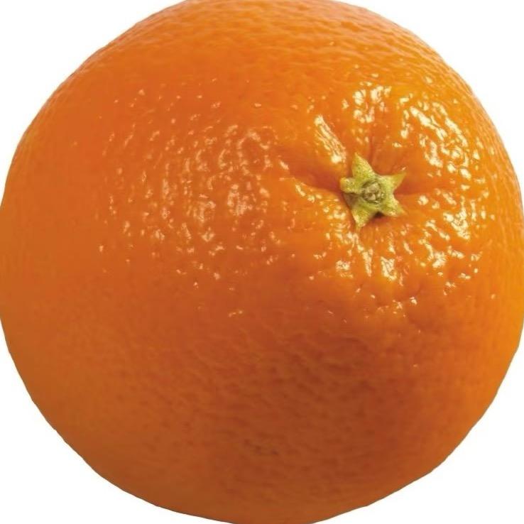 吃个橙子🍊