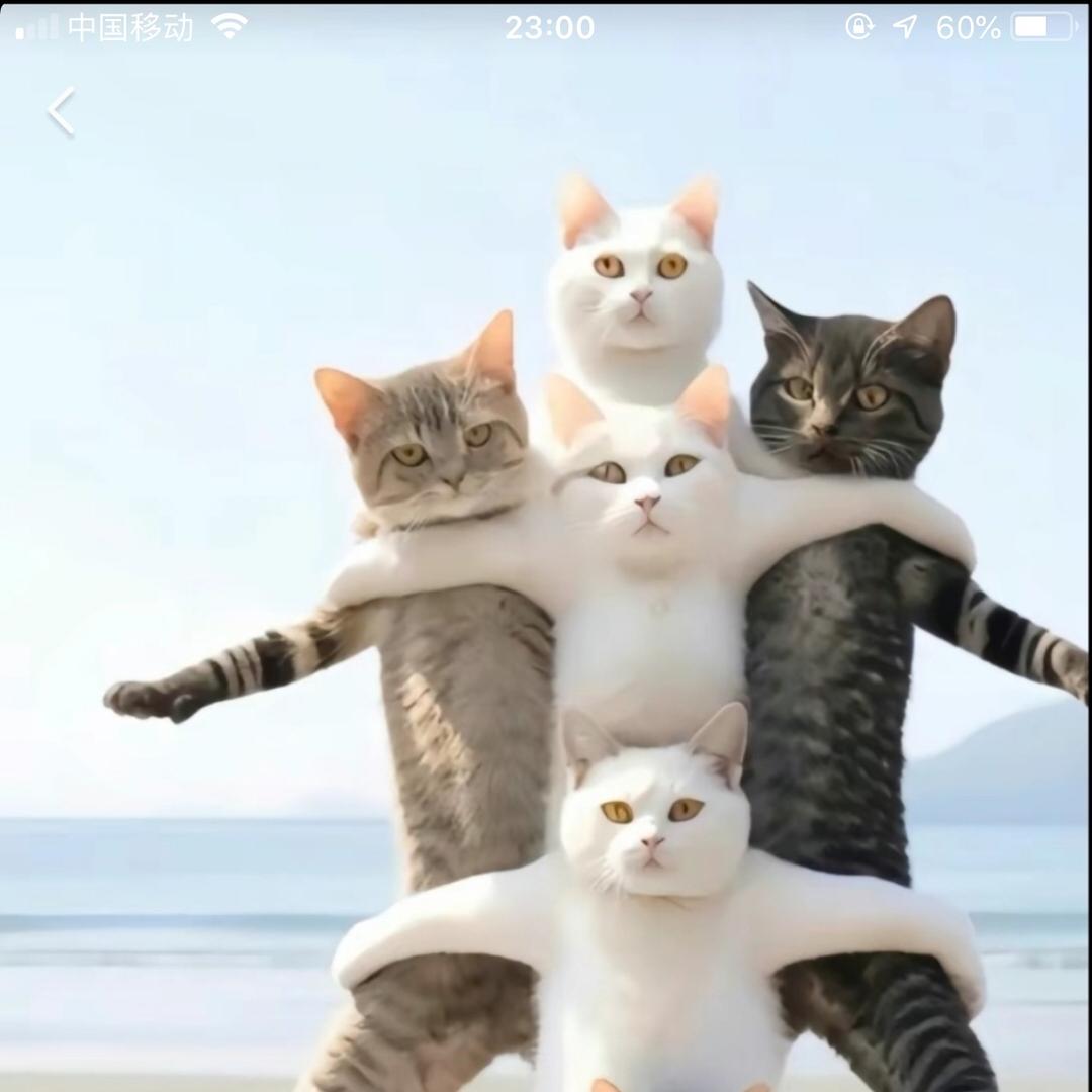 小白