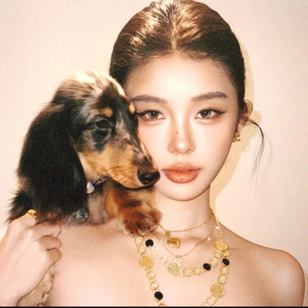 迷人的杨老板🐆