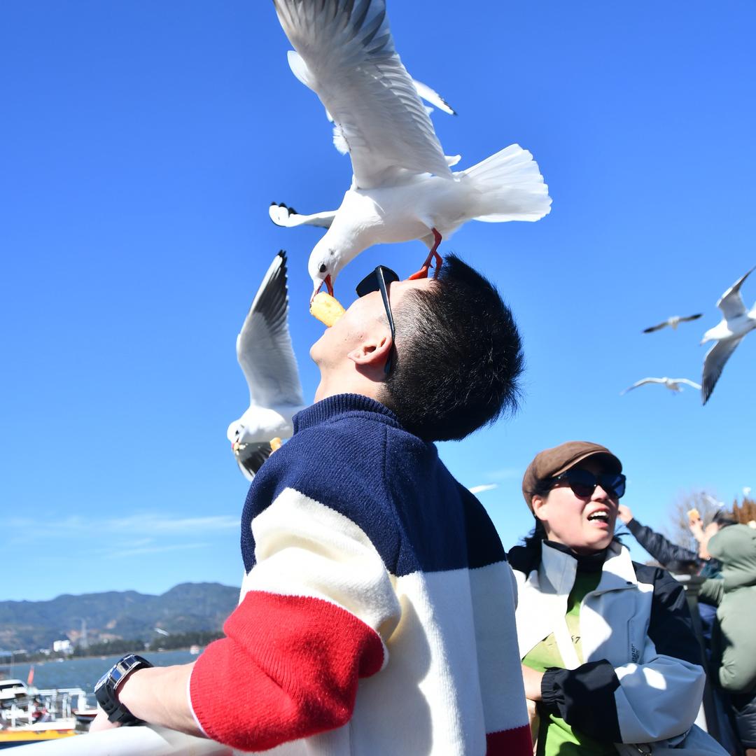 纯颜集团创始人—宇浩