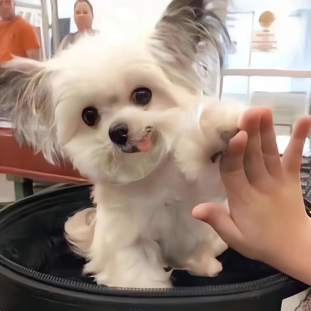 满满-
