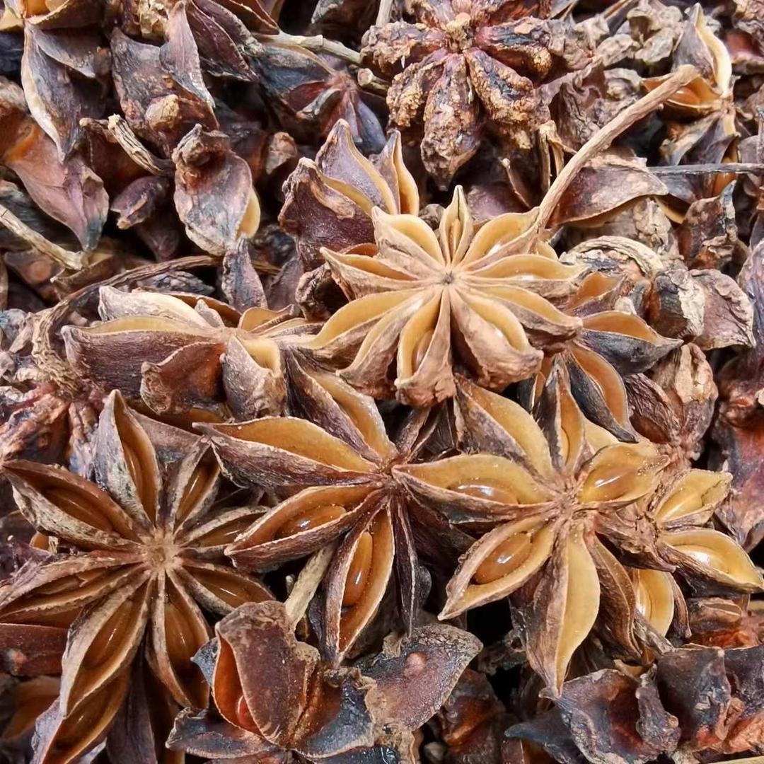 福政八角桂皮原产地