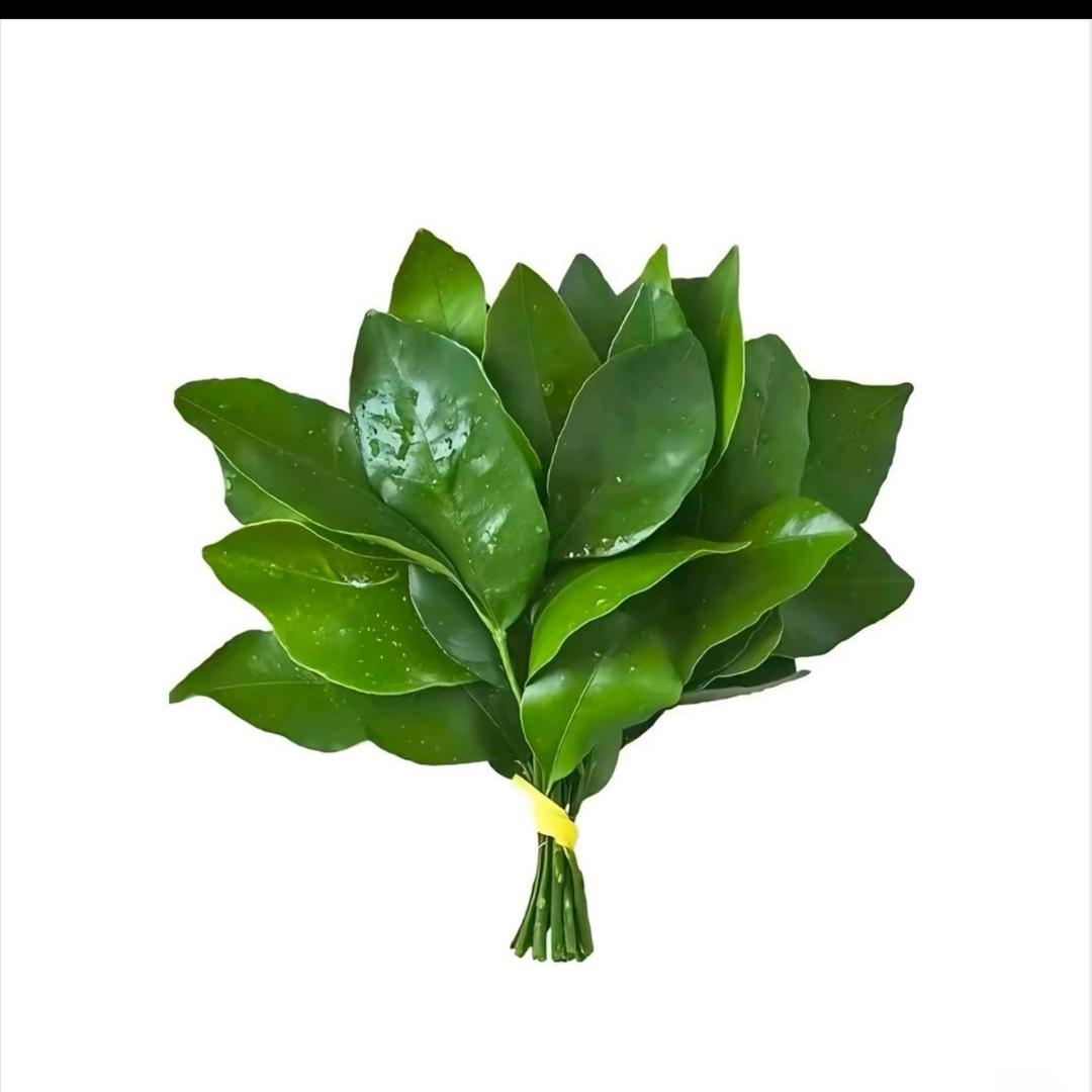 耶耶呀