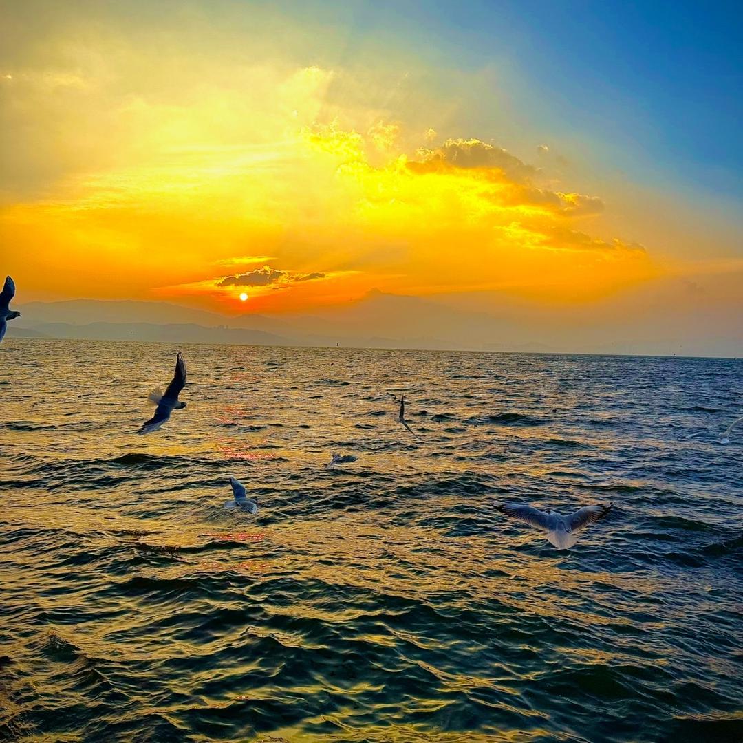 新乡垂纶二手渔具【支持维修、置换、租售】