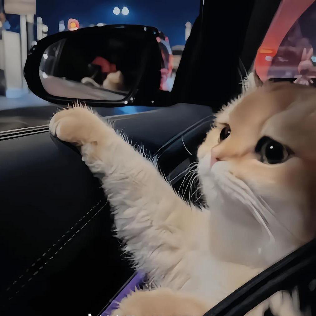 悲伤的小猫