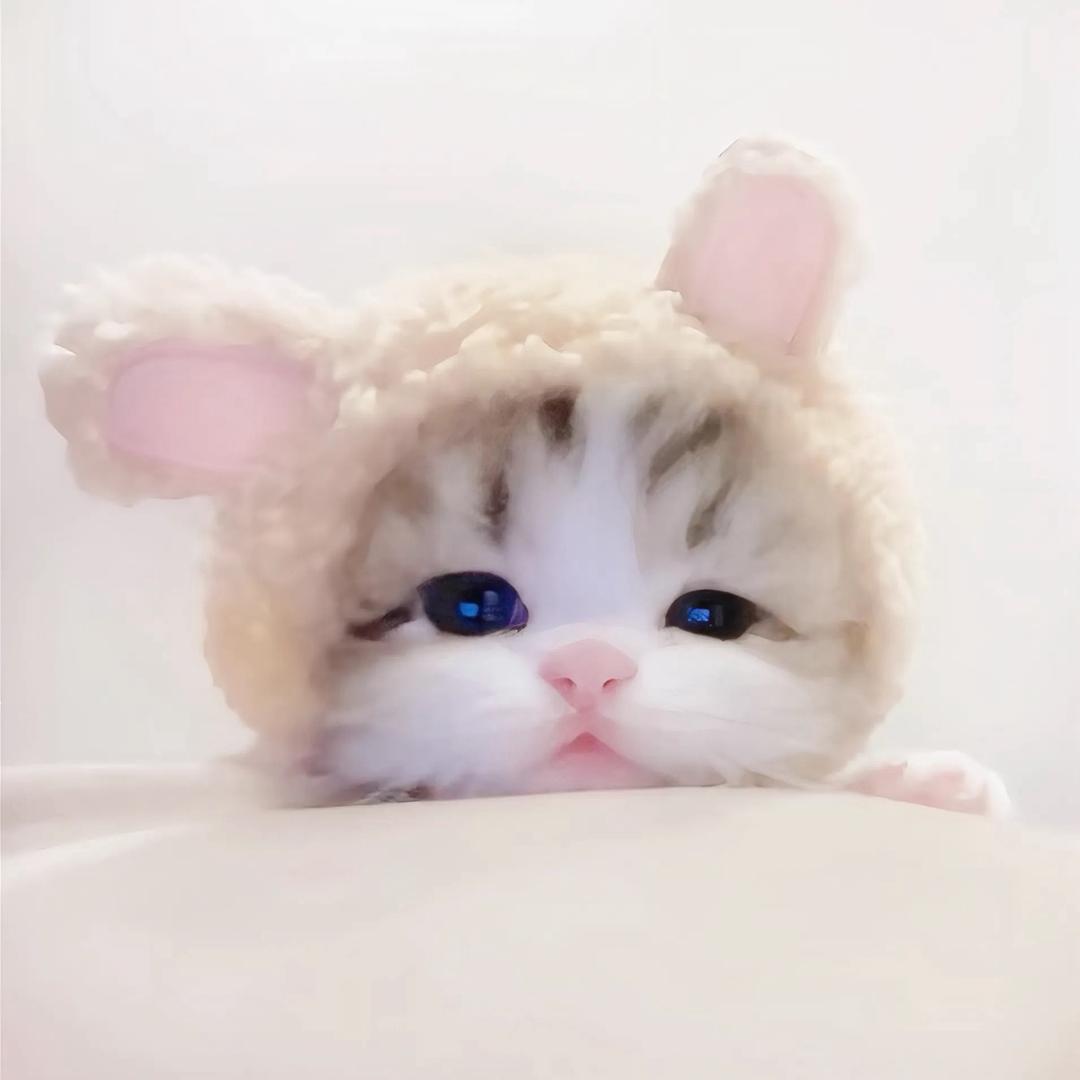 呆