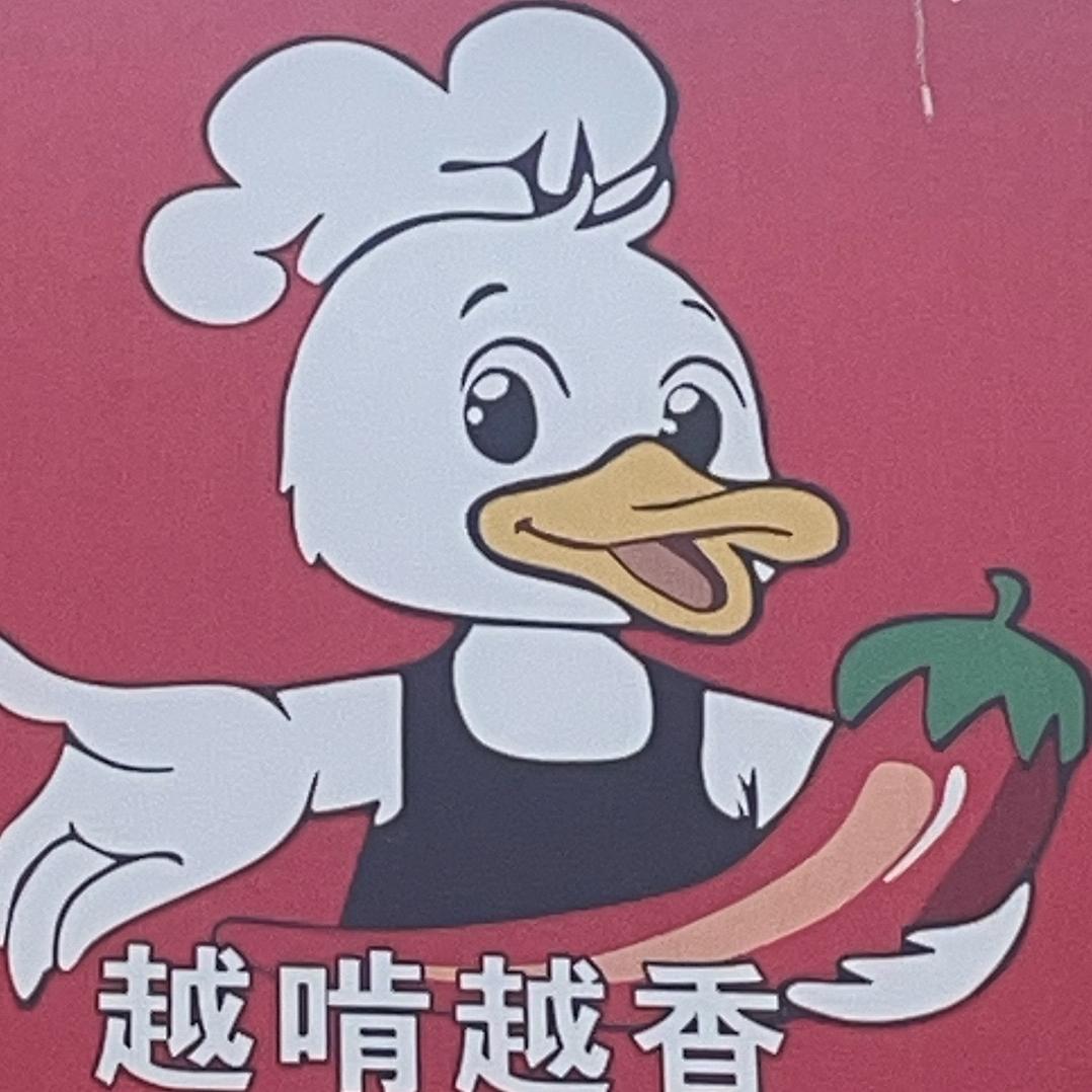 柏辰服装
