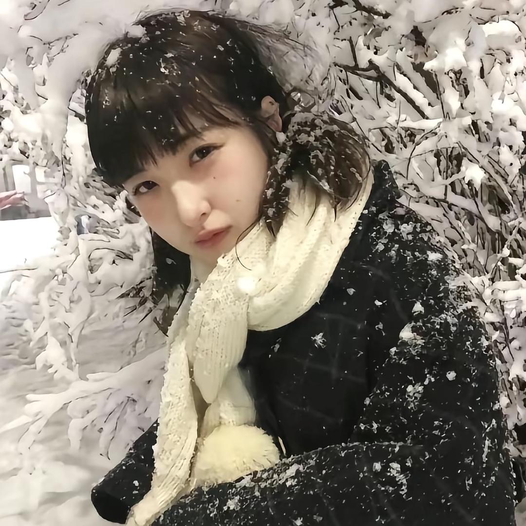 狗狗在哪