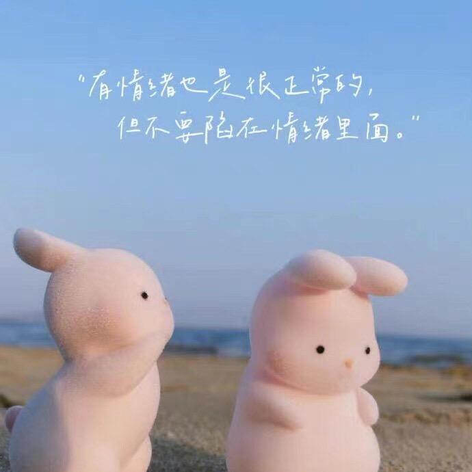 大磊的