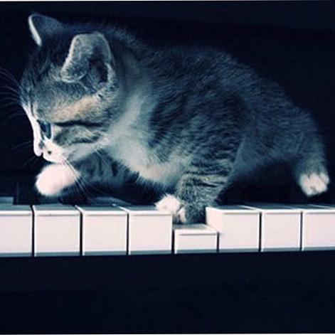 万万piano