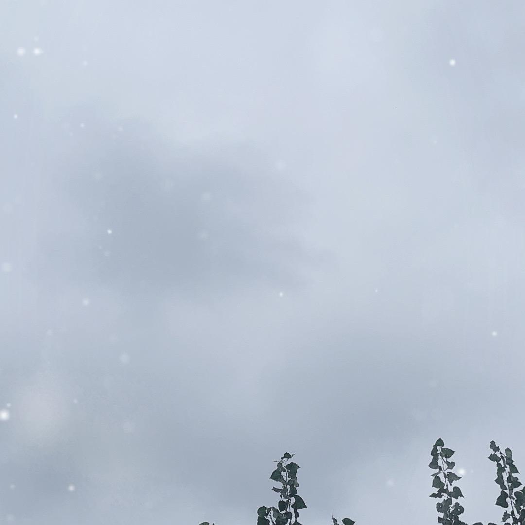 王老师中药材