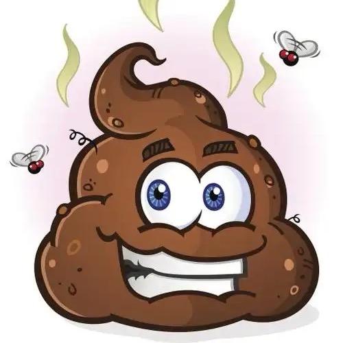 做一个亲粪的人