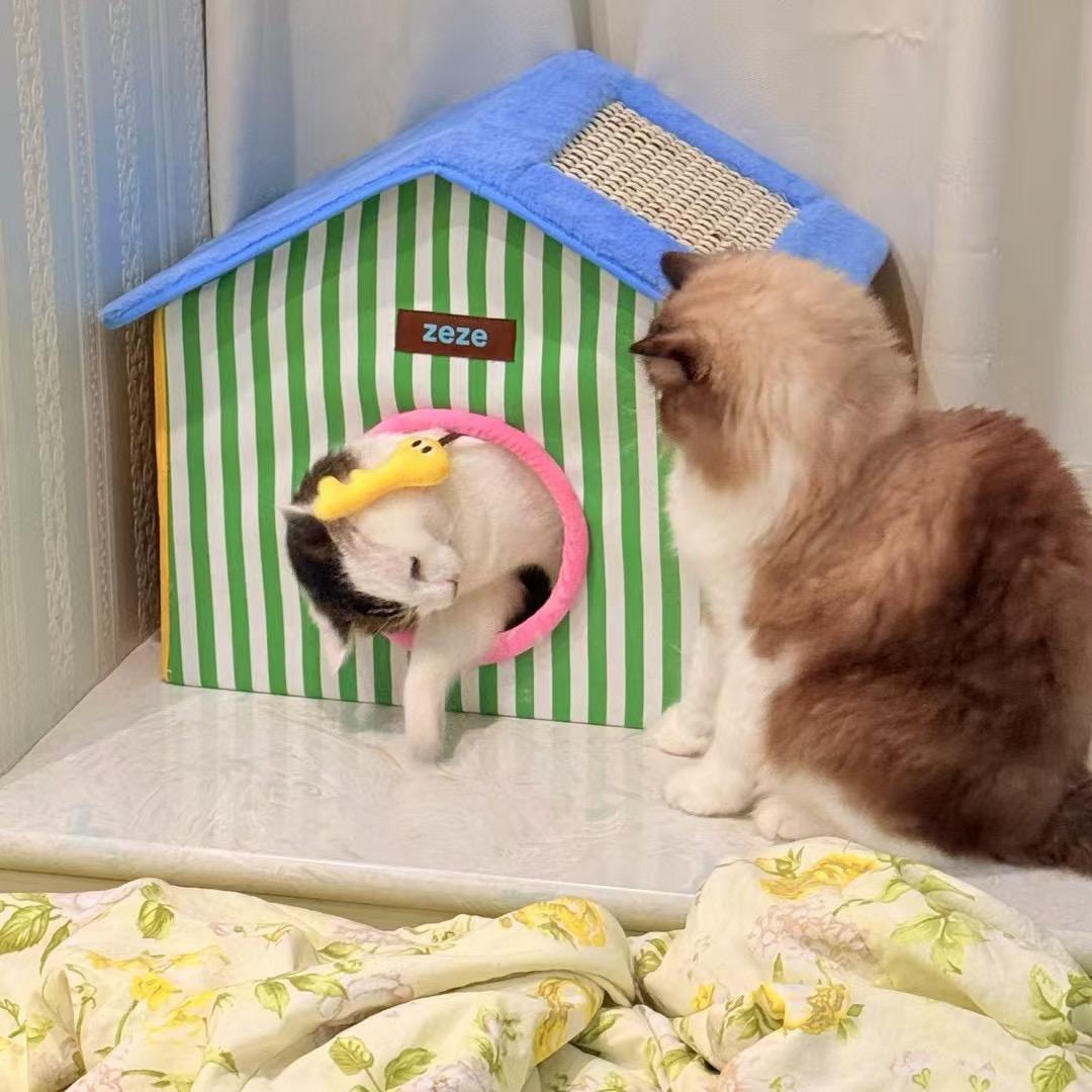 ʚʚ🍒眼ོ里有ོ星晨ོɞɞ