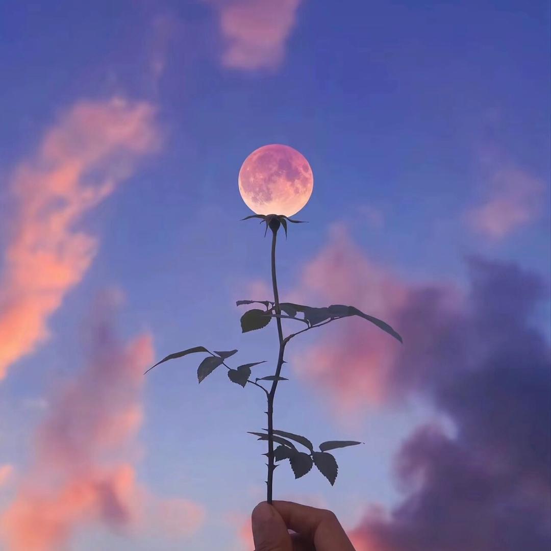 阿卡贝拉