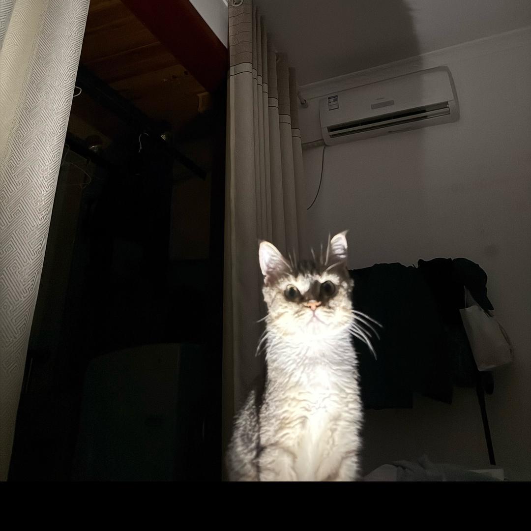 南槐