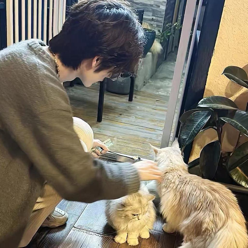 ㅤㅤㅤㅤㅤㅤㅤㅤㅤㅤㅤㅤㅤㅤㅤ朝暮为卿.