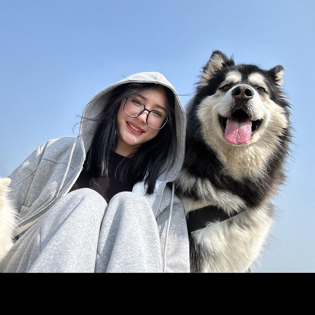 汤圆是只憨憨（搞笑日常）