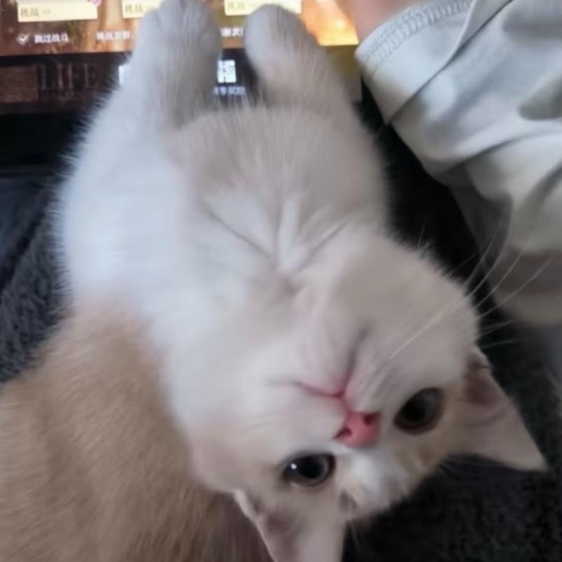 莓莓莓烦恼头像