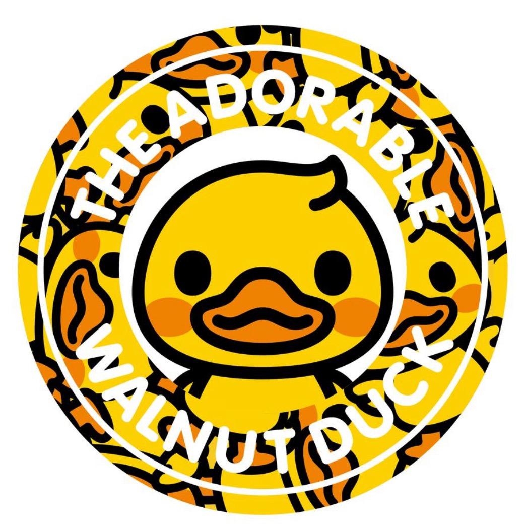 小黄鸭童装优选
