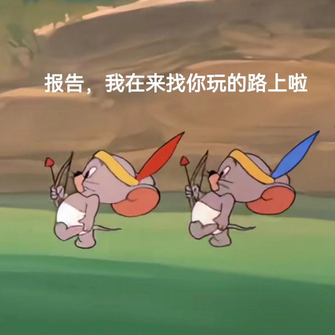 别闹了