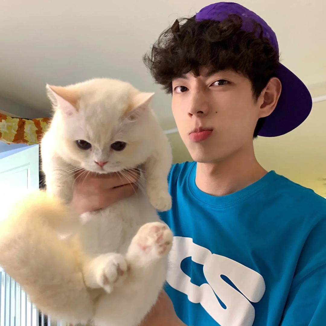 zy