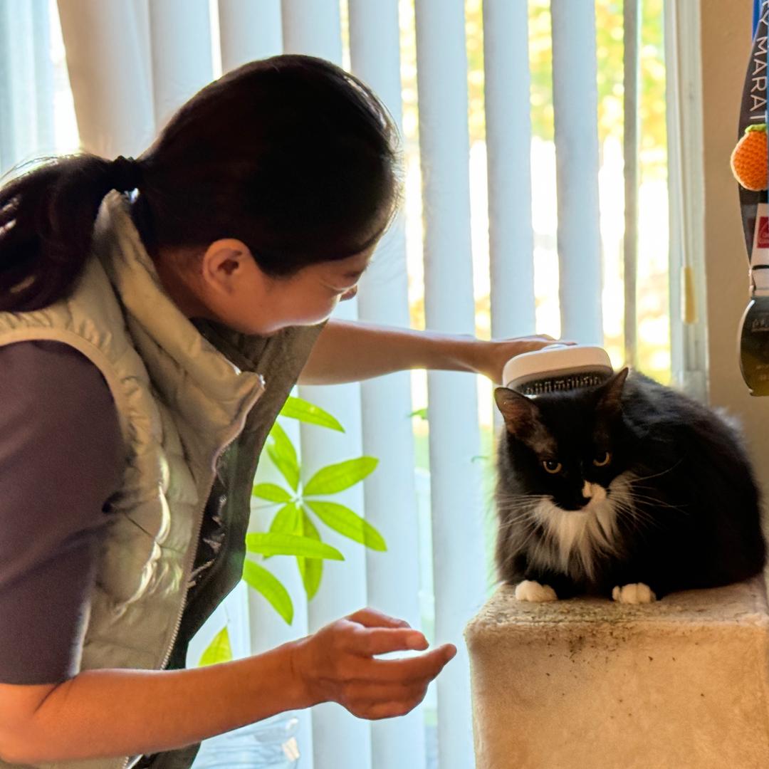 69年爱读书写字健身的芳姐姐