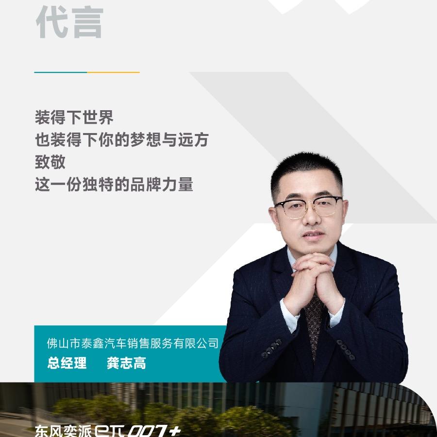 东风奕派泰鑫店（老龚说车）