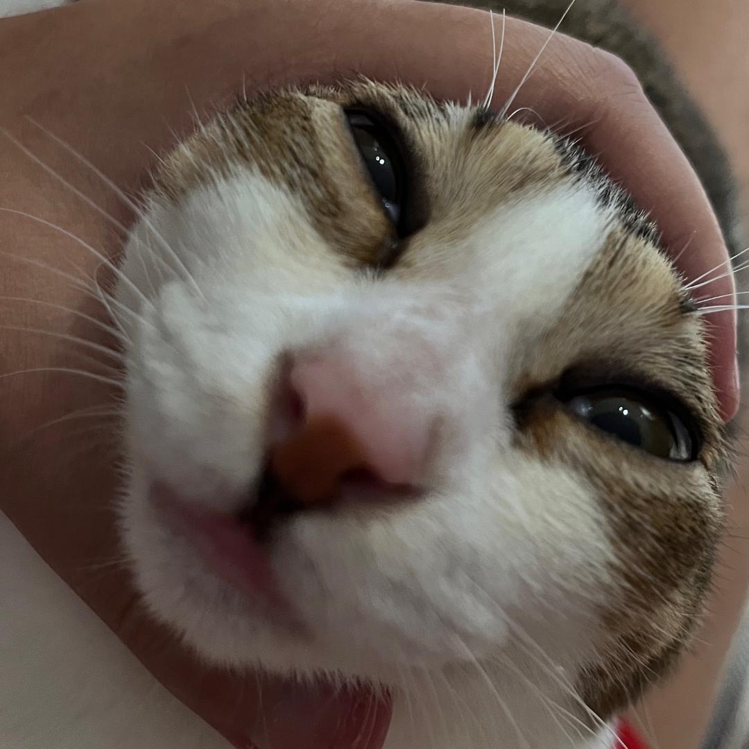 沙！