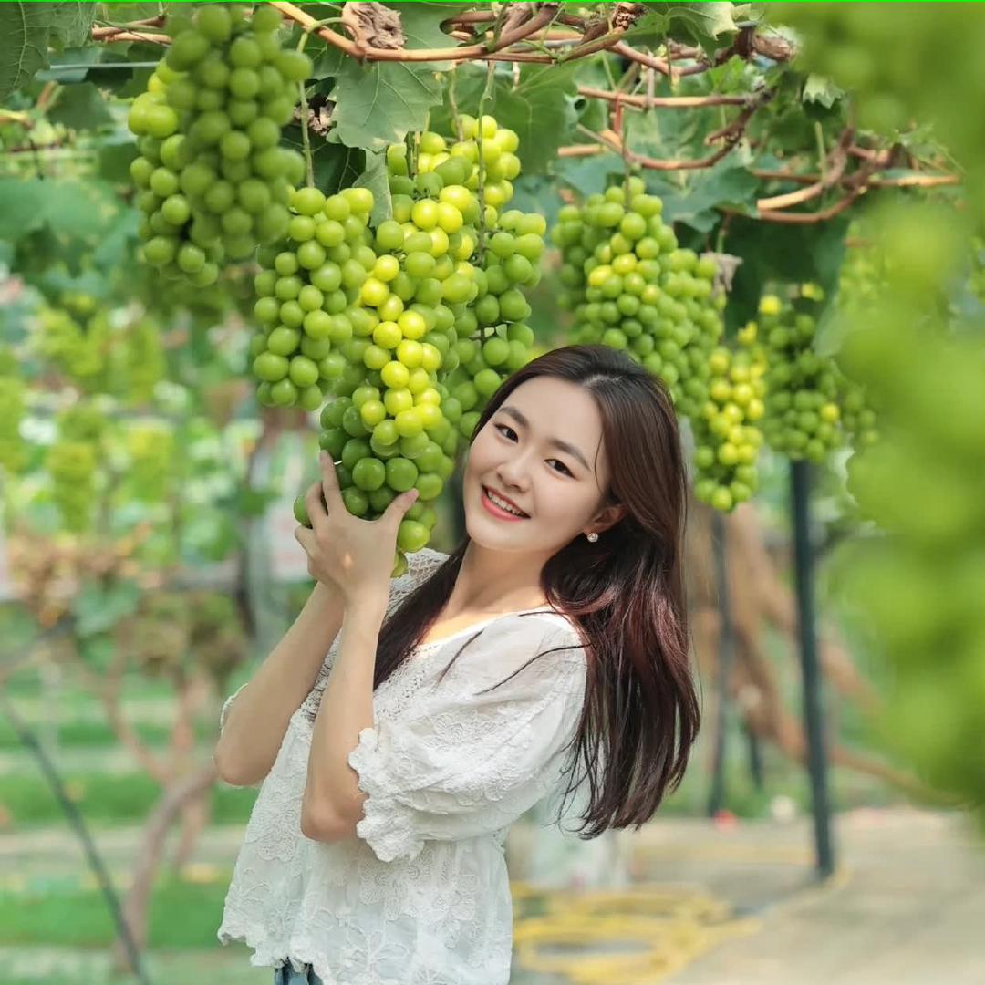 葡萄阿妹-钱温柔