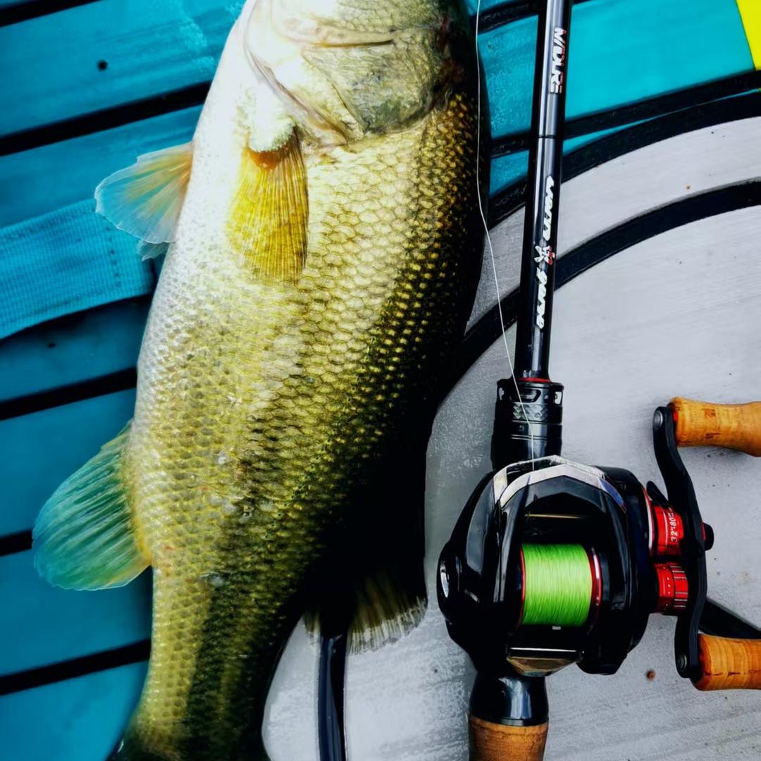 探索者船钓路亚俱乐部（清和湾基地）