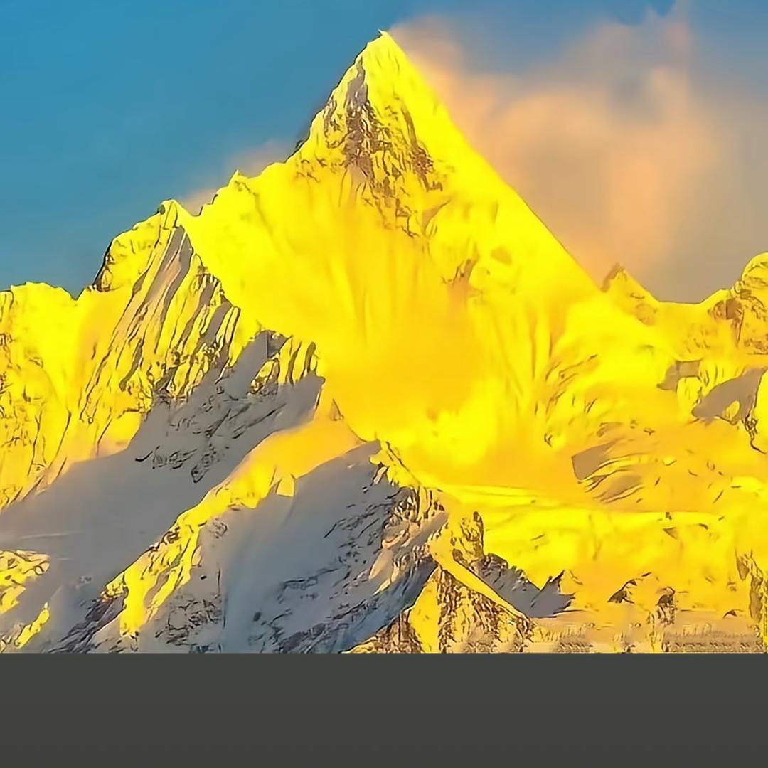 兵妈妈@香水百合