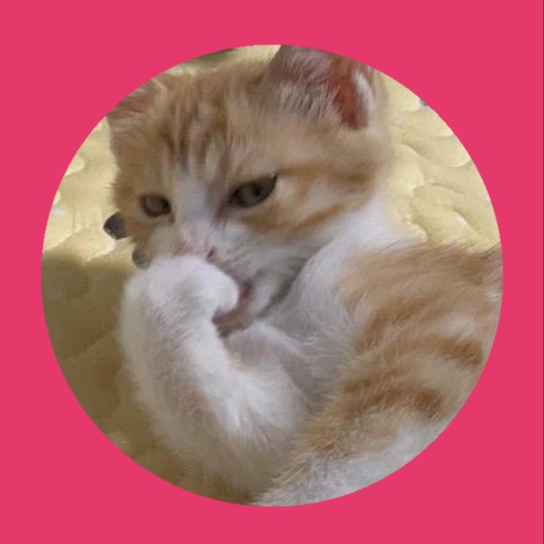 瞧瞧乔乔😾🐶😼