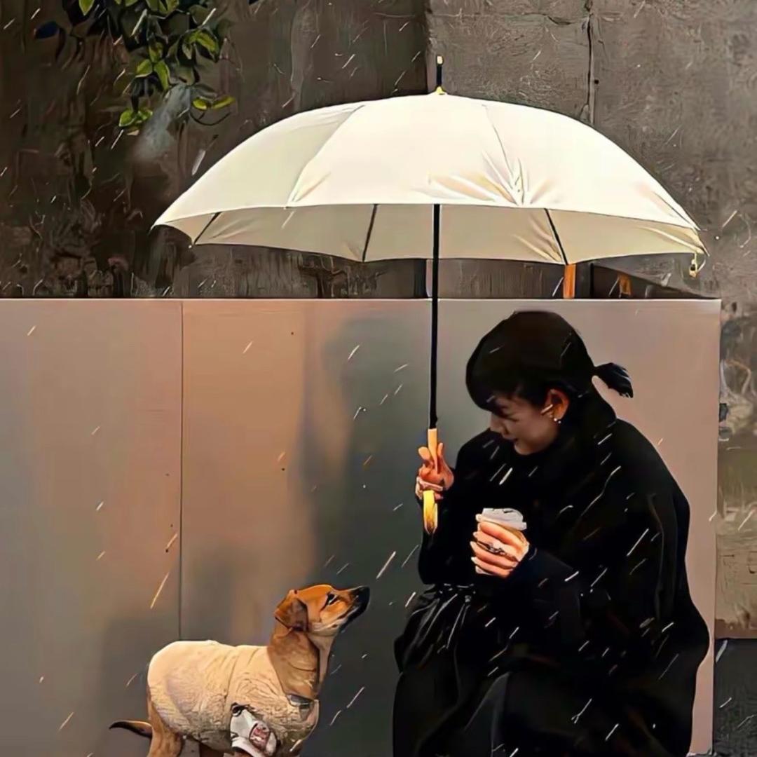 啊圆