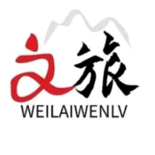 金灿灿来了