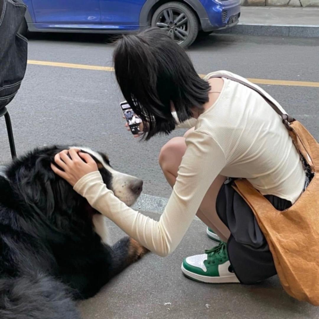 一杯小鲁