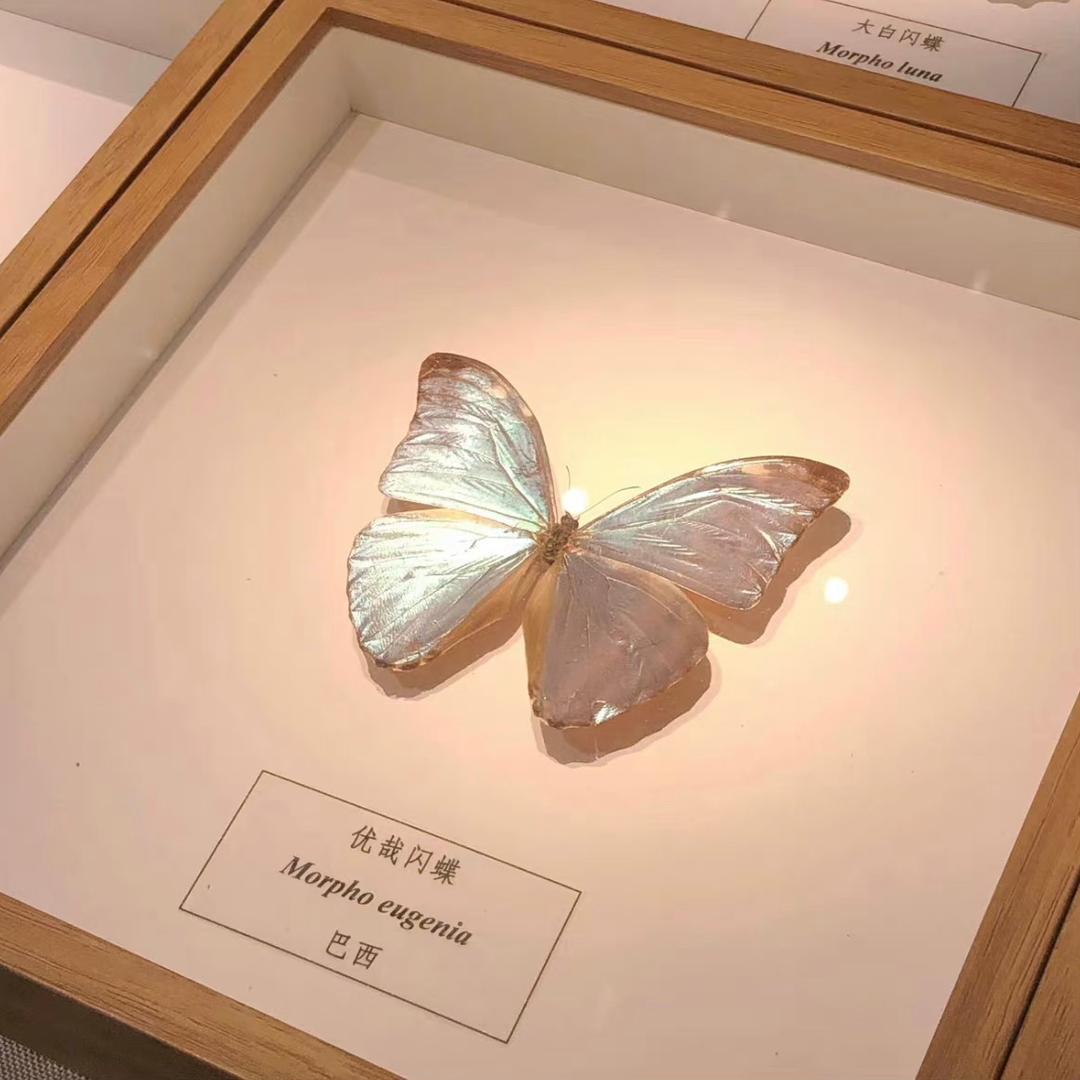 小福星 9966