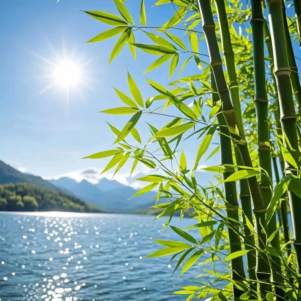 大建