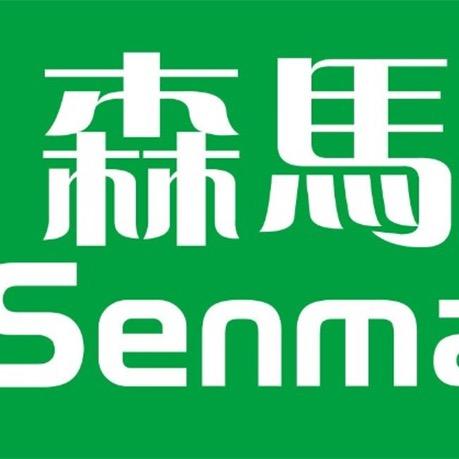 SENMA森马森飞男鞋专卖店