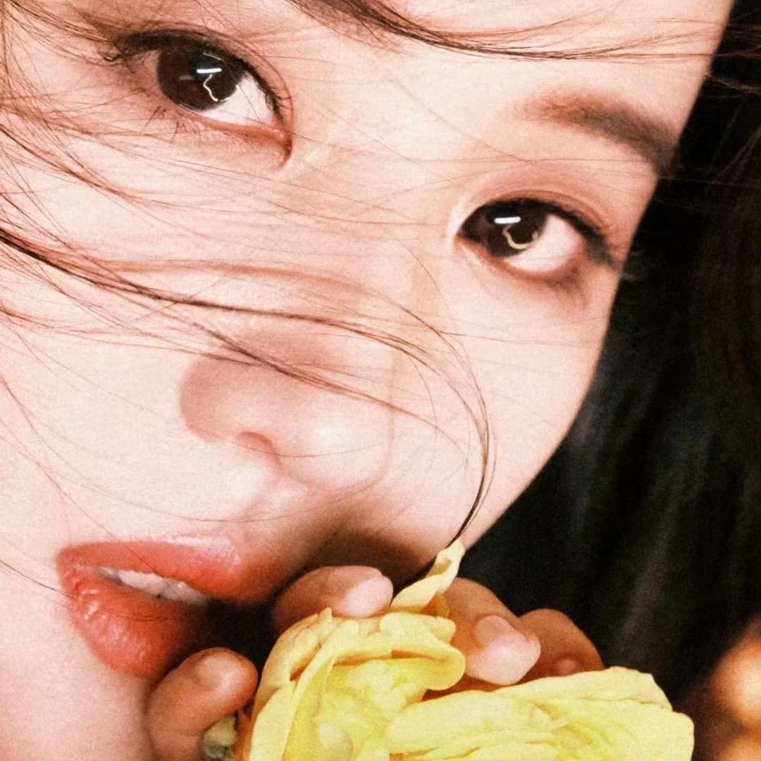 Yumi🐰的头像