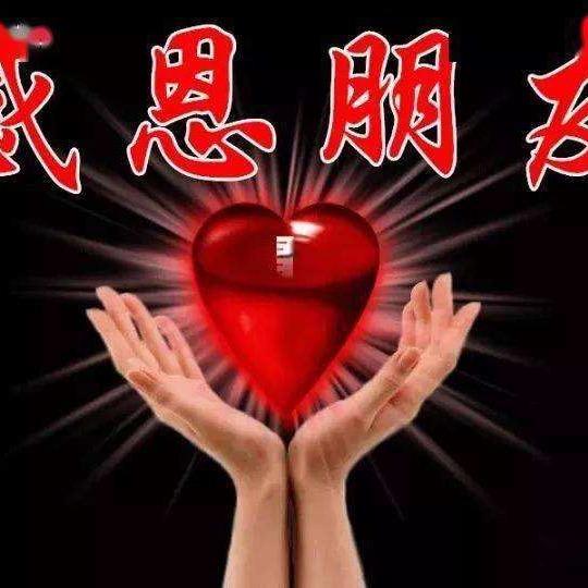 桐城文都